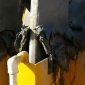 連云港陶瓷過濾機生產廠家 真空陶瓷過濾機 尾礦精礦鐵礦脫水機