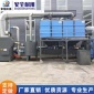 家旭**廠家工業(yè)廢氣處理設(shè)備 吸附脫附**箱 催化燃燒設(shè)備