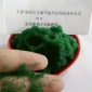 營銷變色樹脂用于測定氫電導率 指示劑**變色陽離子交換樹脂