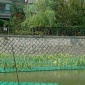 河道植物浮床、人工浮島、水生態修復、水上凈化浮板、生物浮島 330*330*60