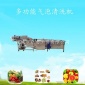高壓噴淋葉類蔬菜清洗機(jī) 商用工廠氣泡果蔬清洗機(jī) 大型廚房**多功能氣泡清洗機(jī)設(shè)備 全自動(dòng)氣泡清洗機(jī)